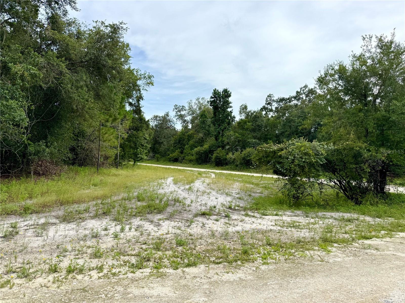 Image 11 of 15 For Rose Bloom Avenue