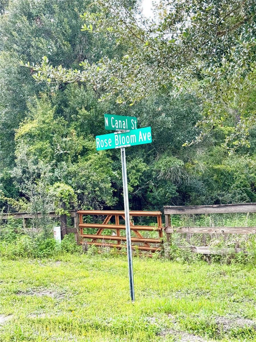 Image 12 of 15 For Rose Bloom Avenue