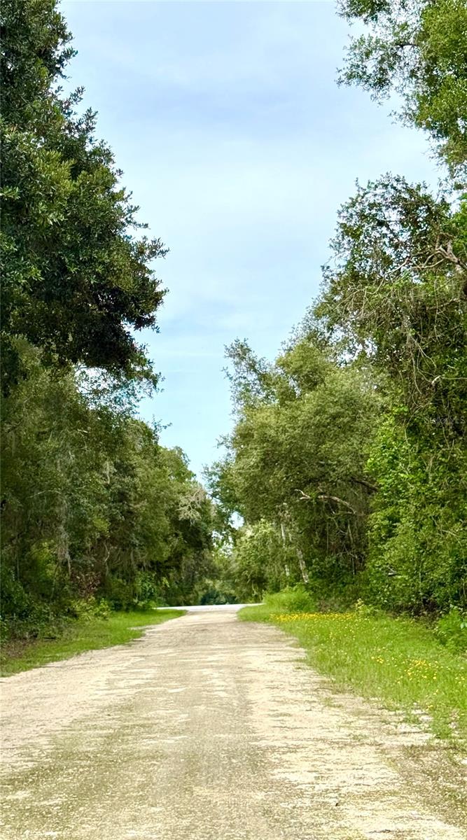 Image 7 of 15 For Rose Bloom Avenue