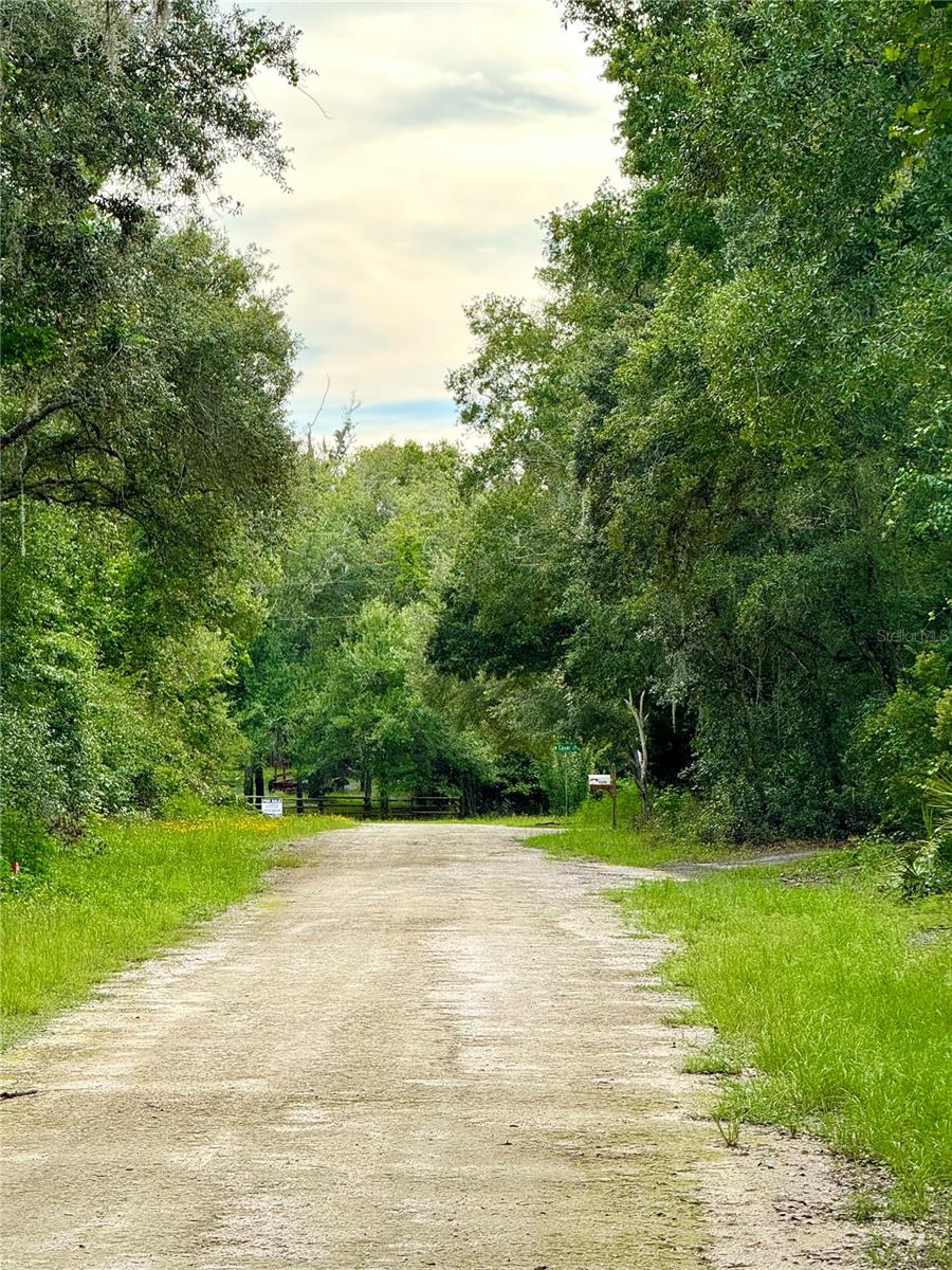 Image 8 of 15 For Rose Bloom Avenue