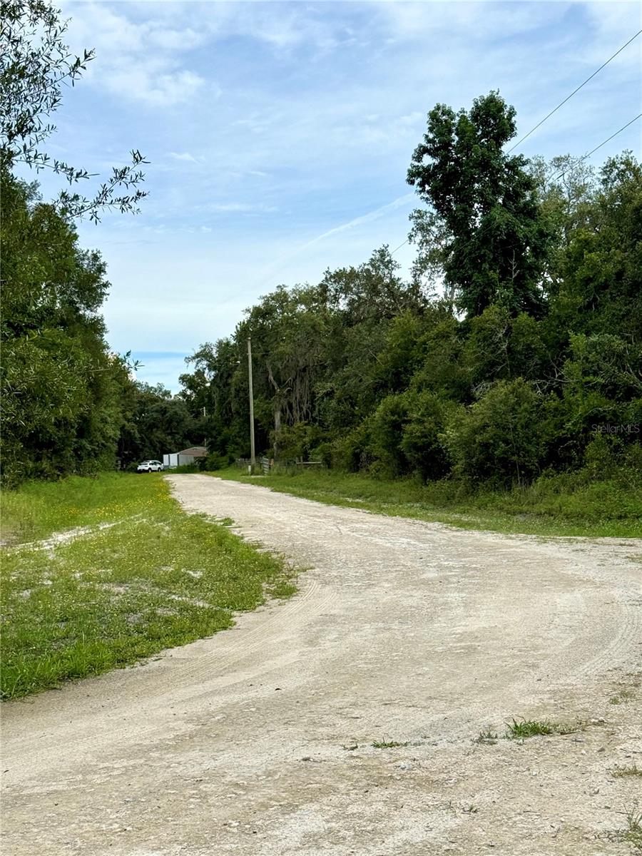 Image 9 of 15 For Rose Bloom Avenue