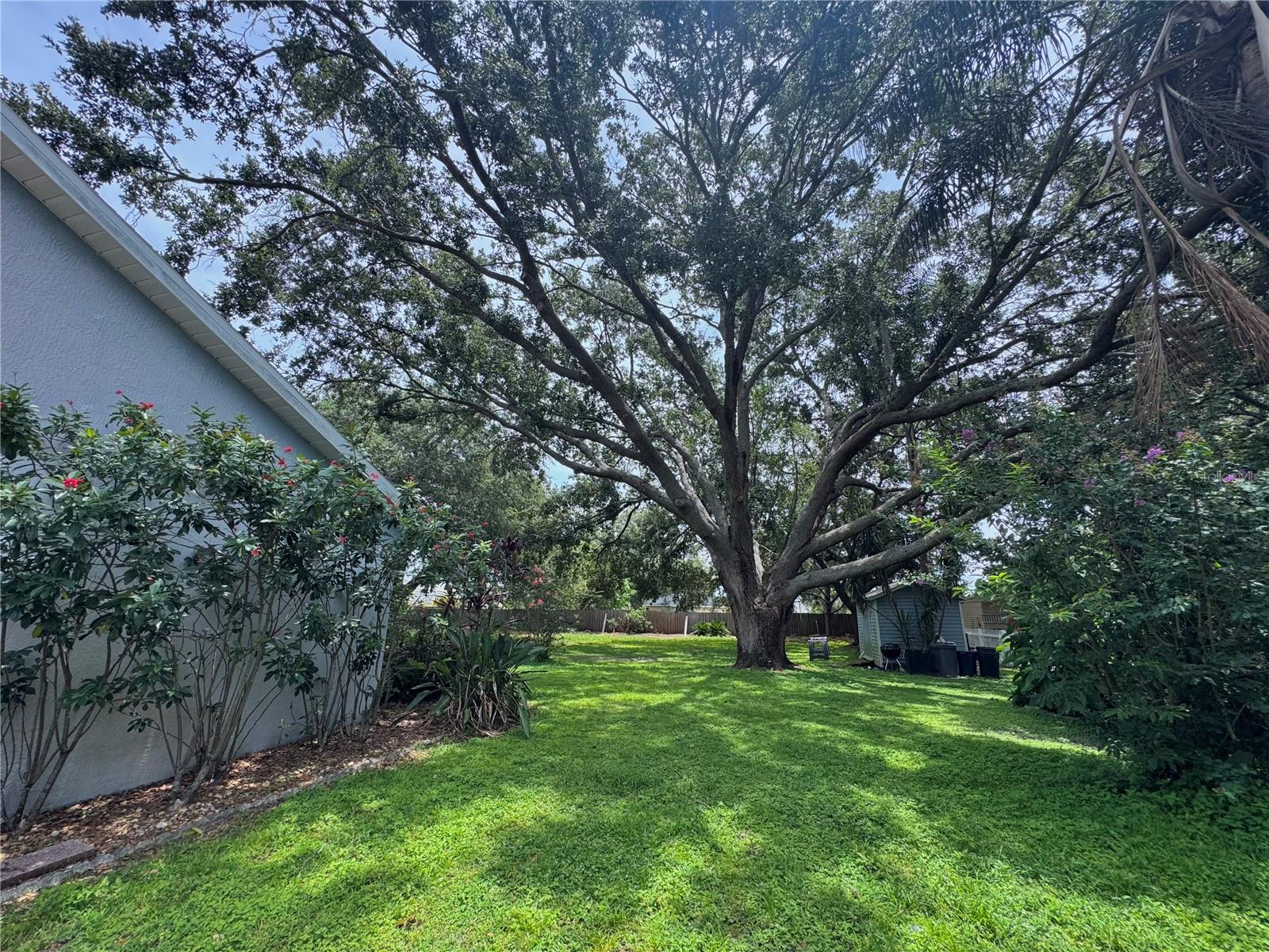 Image 38 of 39 For 11252 Rosehill Drive