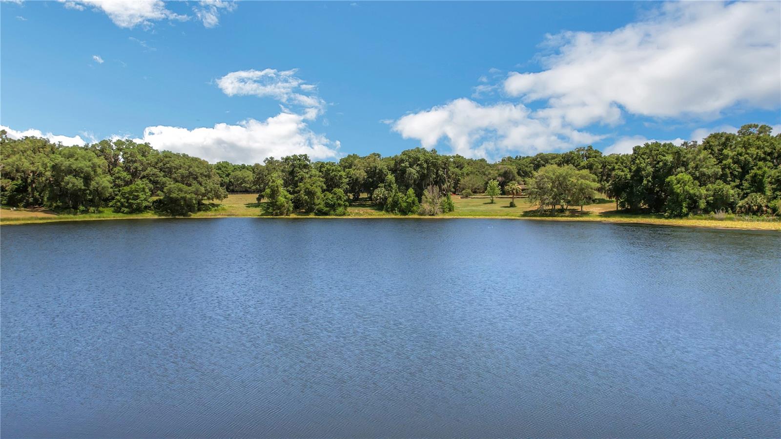 Image 6 of 78 For 2400 Lake Griffin Road