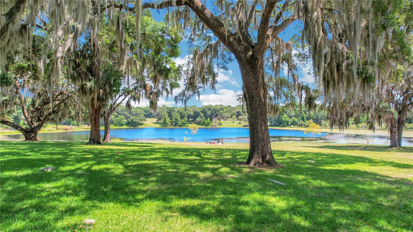 Image 7 of 78 For 2400 Lake Griffin Road