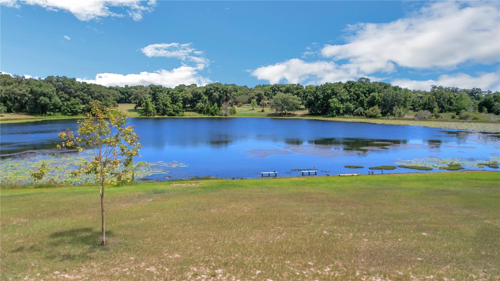 Image 8 of 78 For 2400 Lake Griffin Road