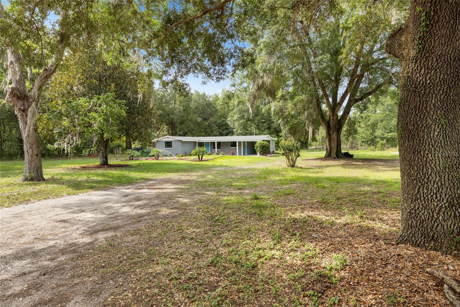 Image 3 of 32 For 4123 County Road 124