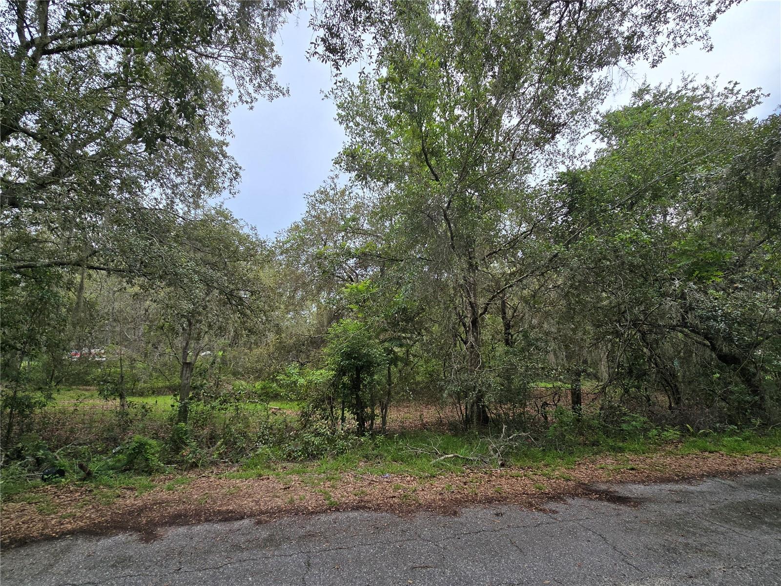Details for 13311 Midway Avenue, ASTATULA, FL 34705