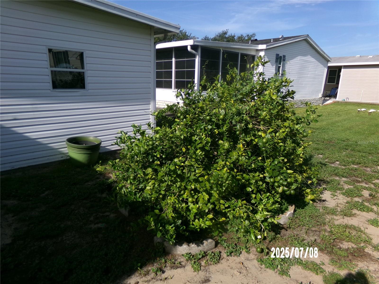 Image 7 of 92 For 356 Sue Avenue