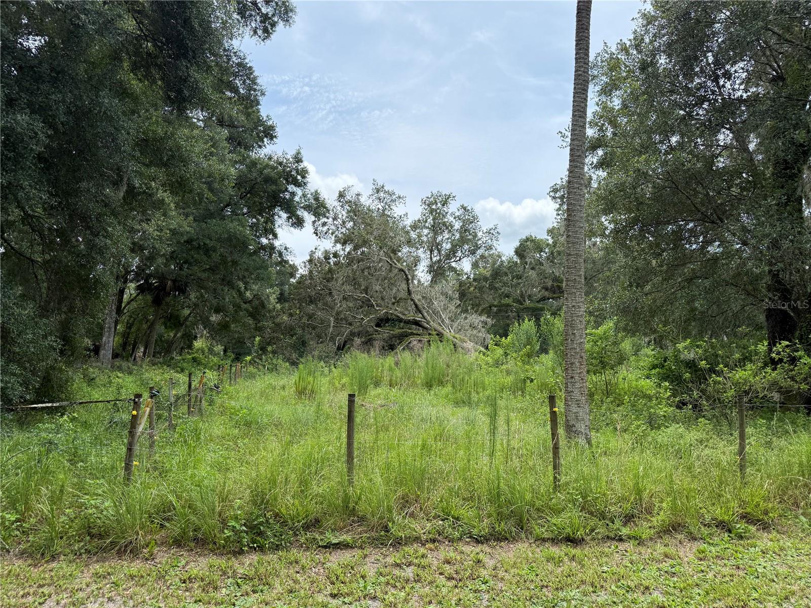Image 84 of 100 For 2747 County Road 615