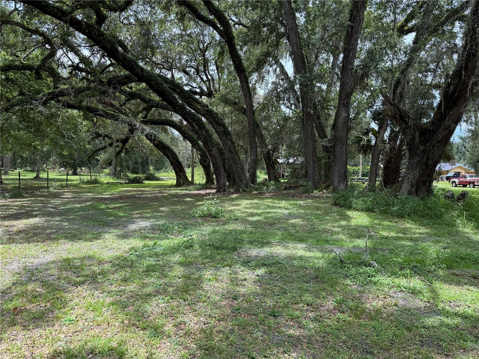 Image 90 of 100 For 2747 County Road 615