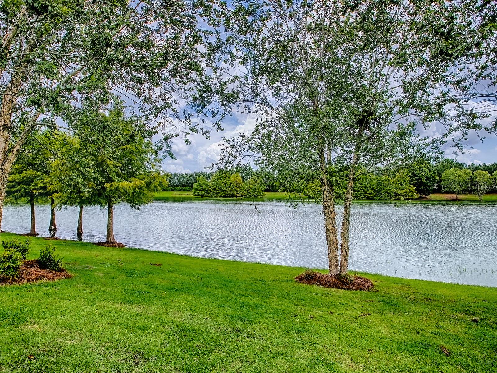 Image 3 of 51 For 2602 Montclair Lane