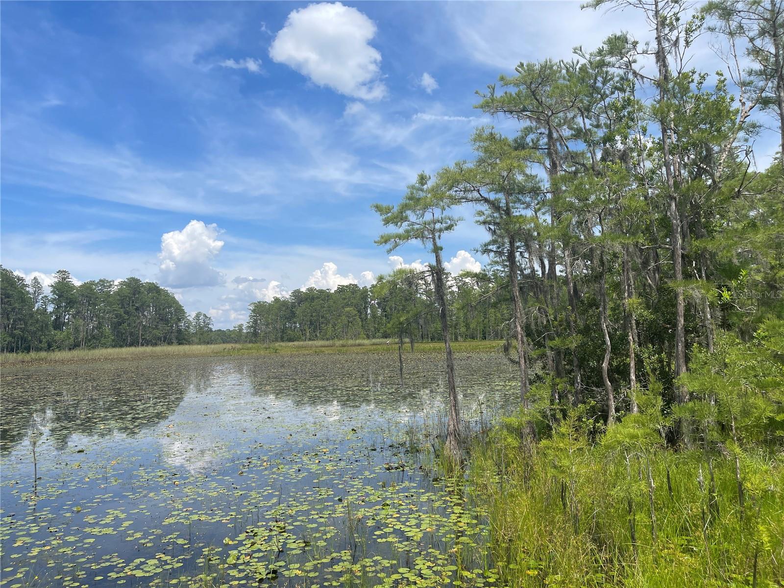 Image 11 of 26 For 7752 Adonijah Way