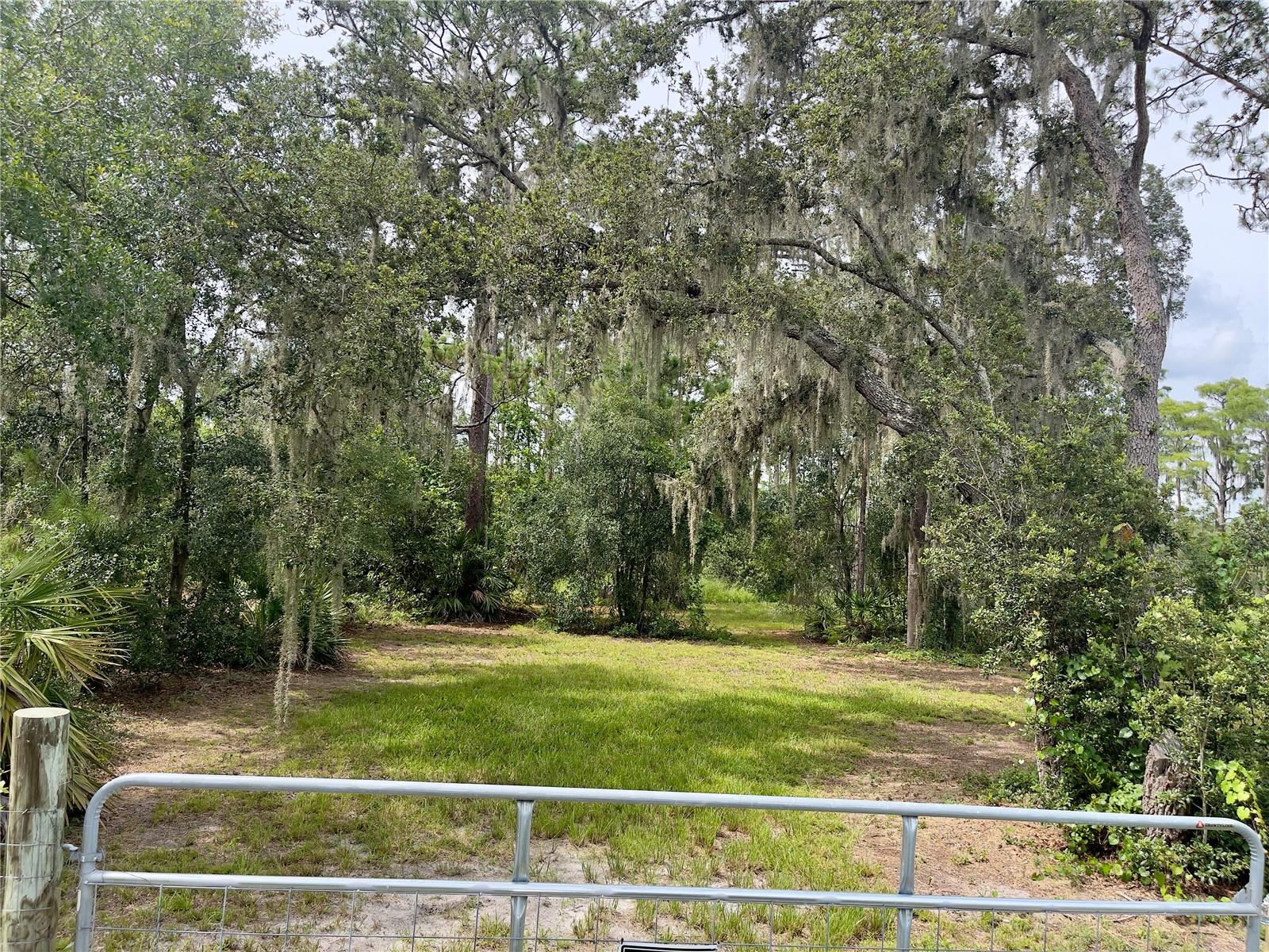 Image 25 of 26 For 7752 Adonijah Way