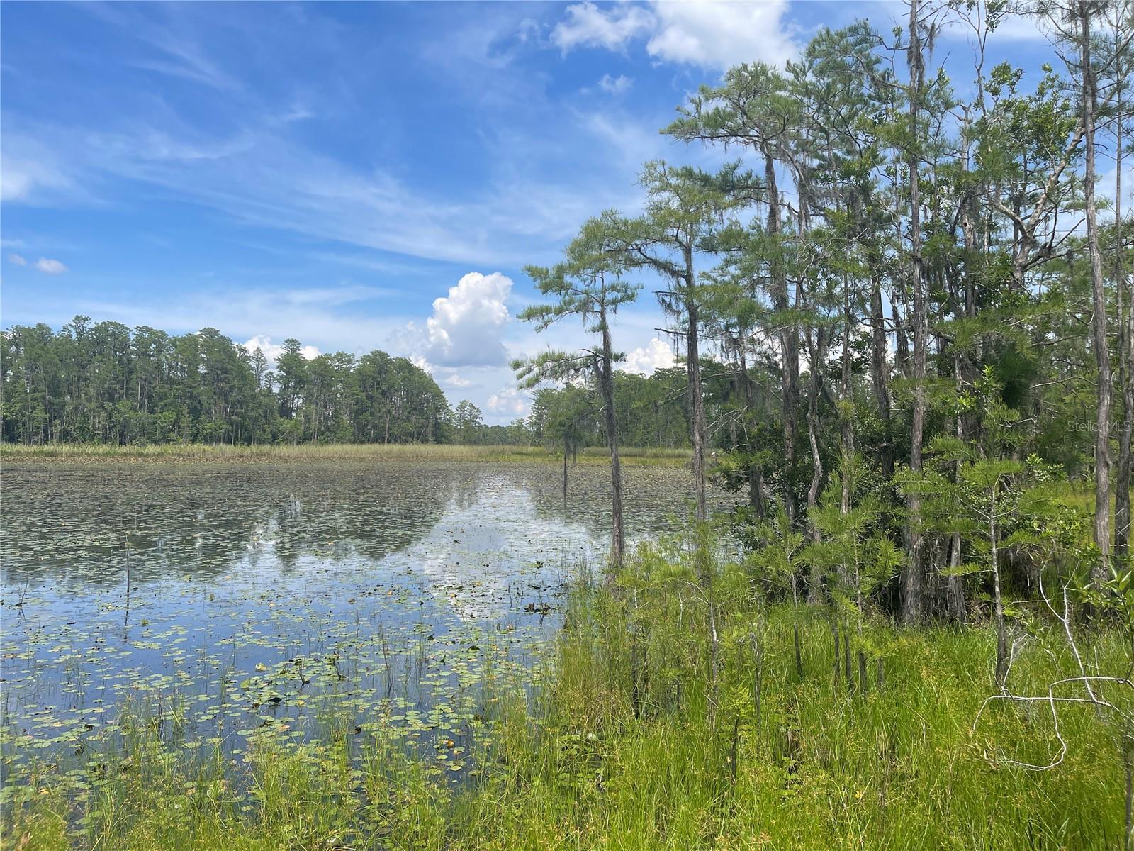Image 8 of 26 For 7752 Adonijah Way