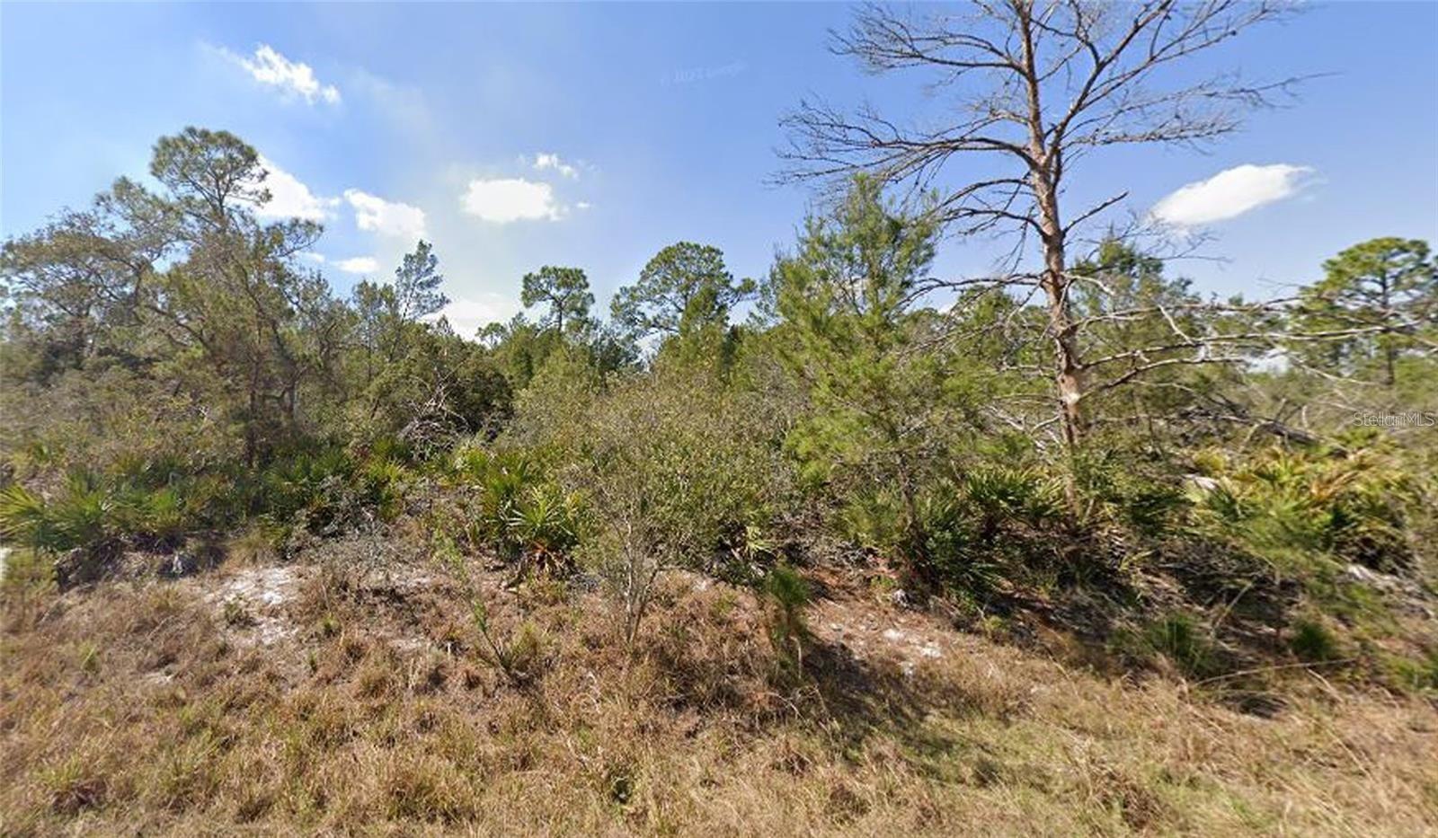 Image 9 of 10 For 1256 Kumquat Street