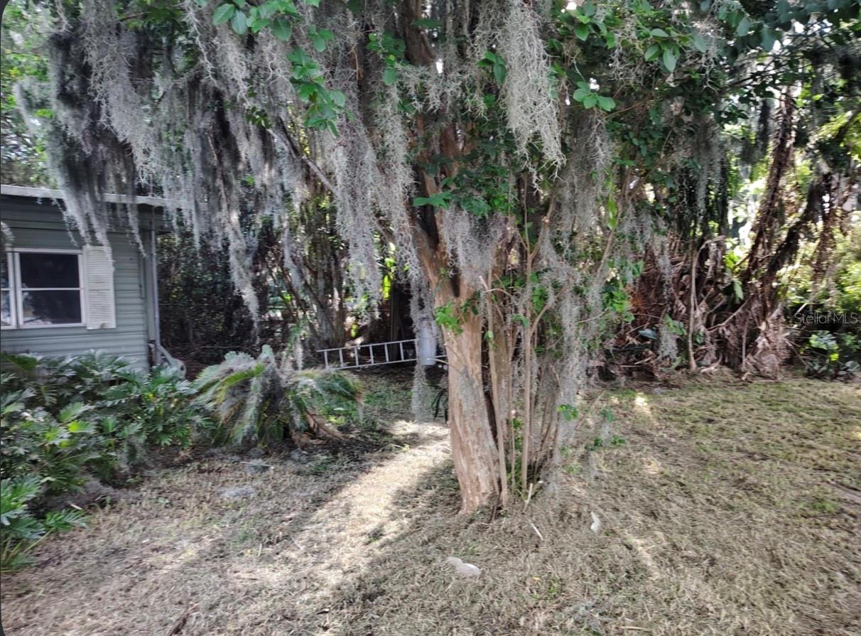 Image 14 of 25 For 17137 Arrow Head Boulevard