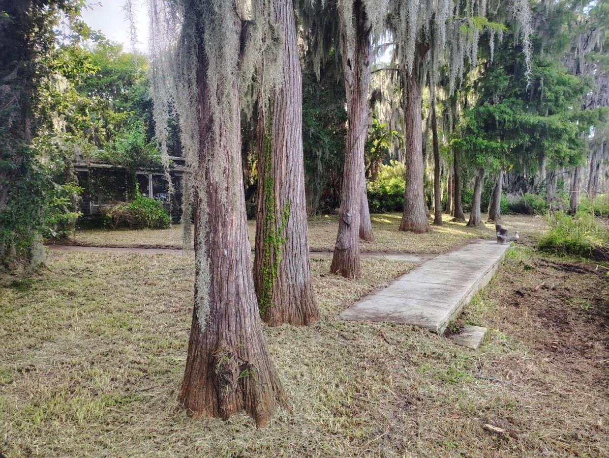 Image 7 of 25 For 17137 Arrow Head Boulevard