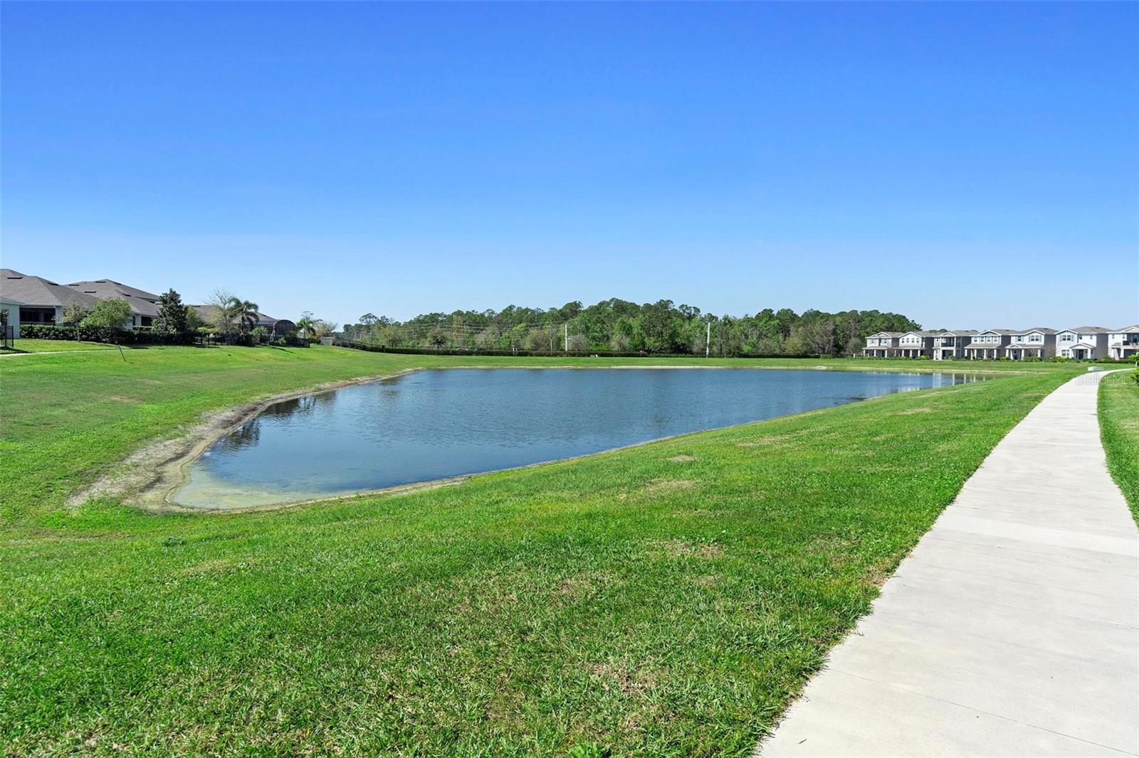 Image 51 of 59 For 10732 Petrillo Way