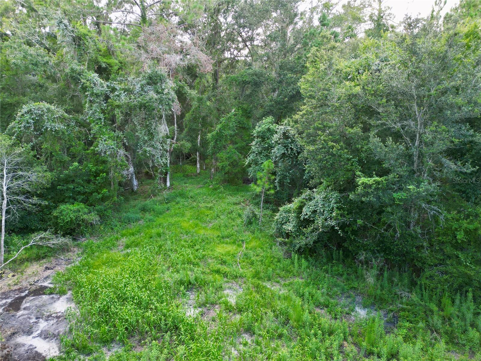 Image 12 of 32 For Tbd 31st Way