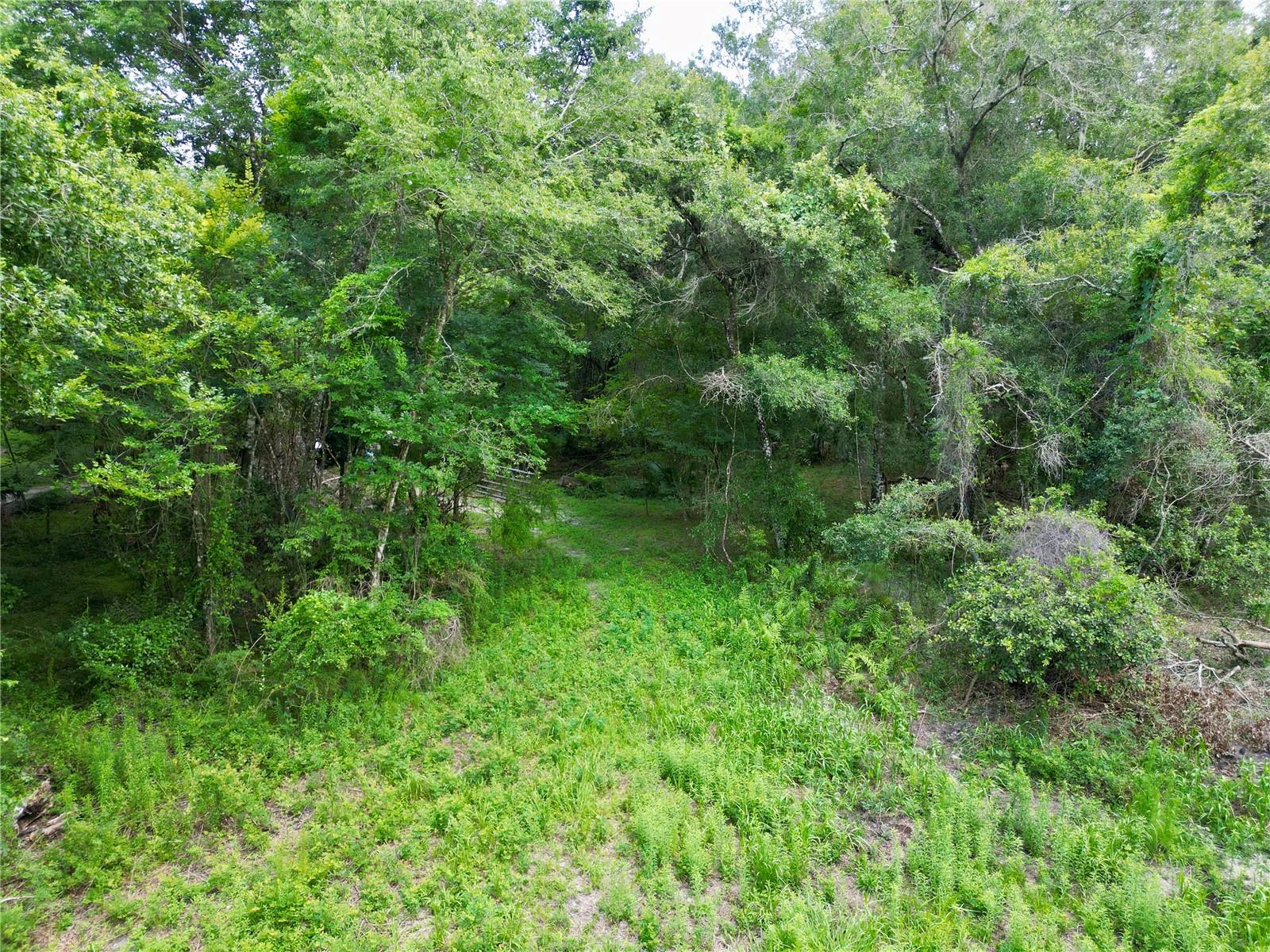 Image 24 of 32 For Tbd 31st Way