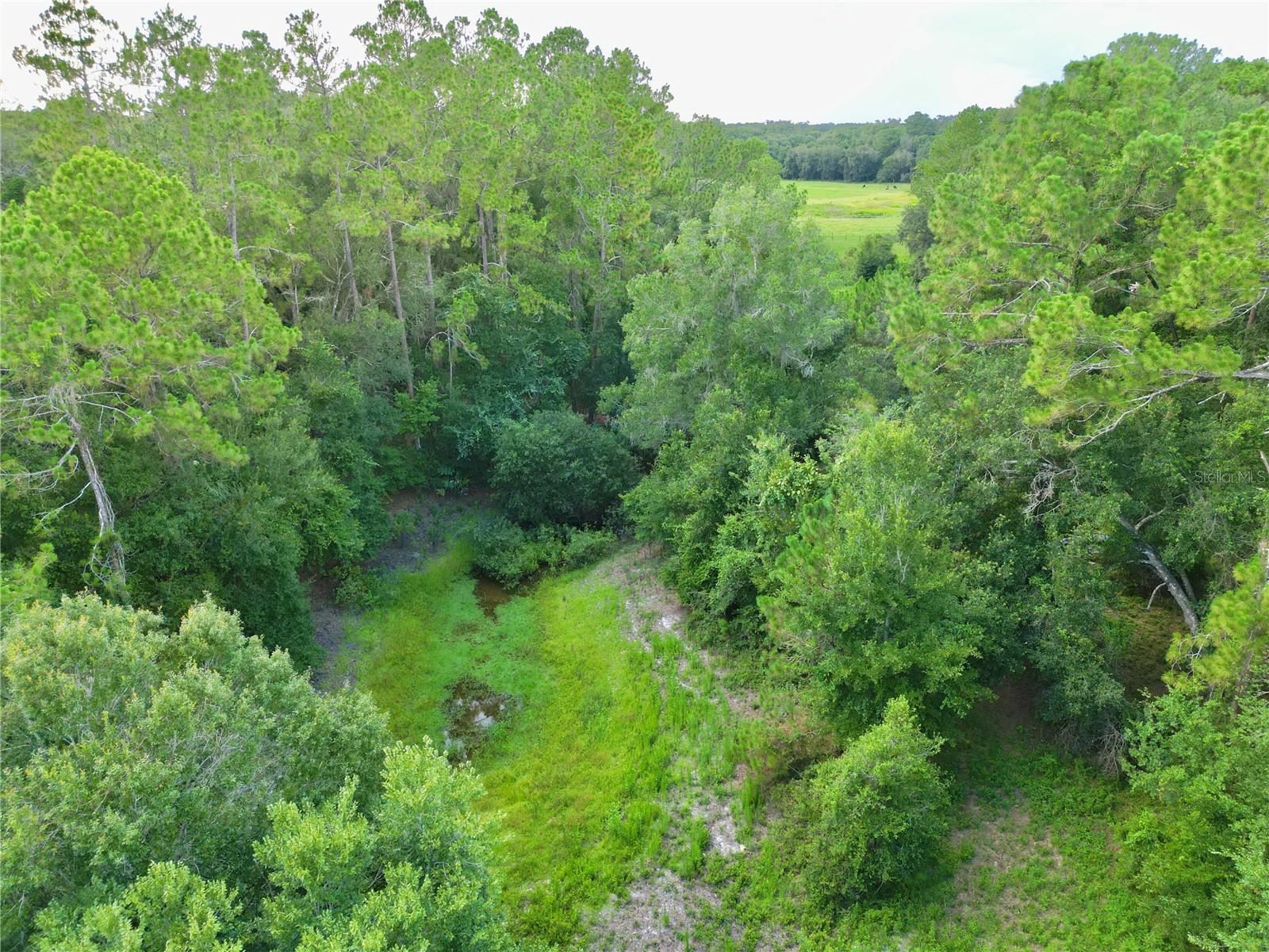 Image 7 of 32 For Tbd 31st Way