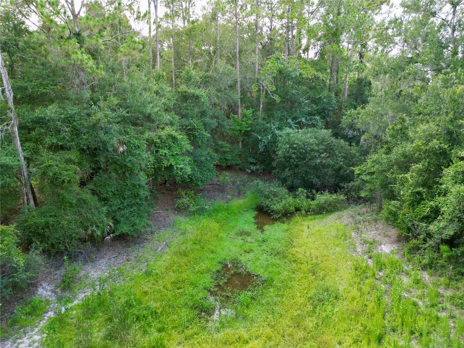 Image 9 of 32 For Tbd 31st Way