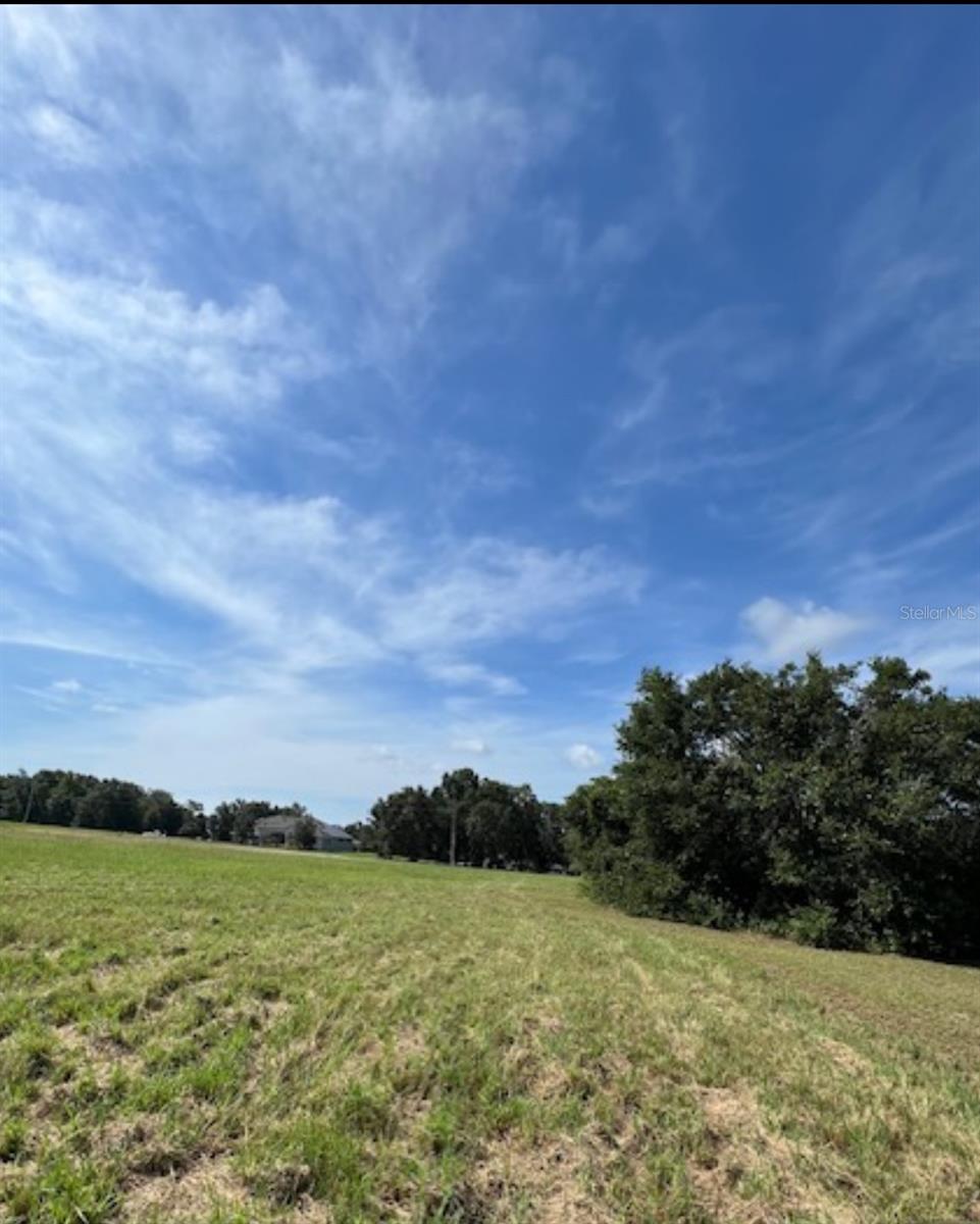 Details for Otters Run Drive, GROVELAND, FL 34736
