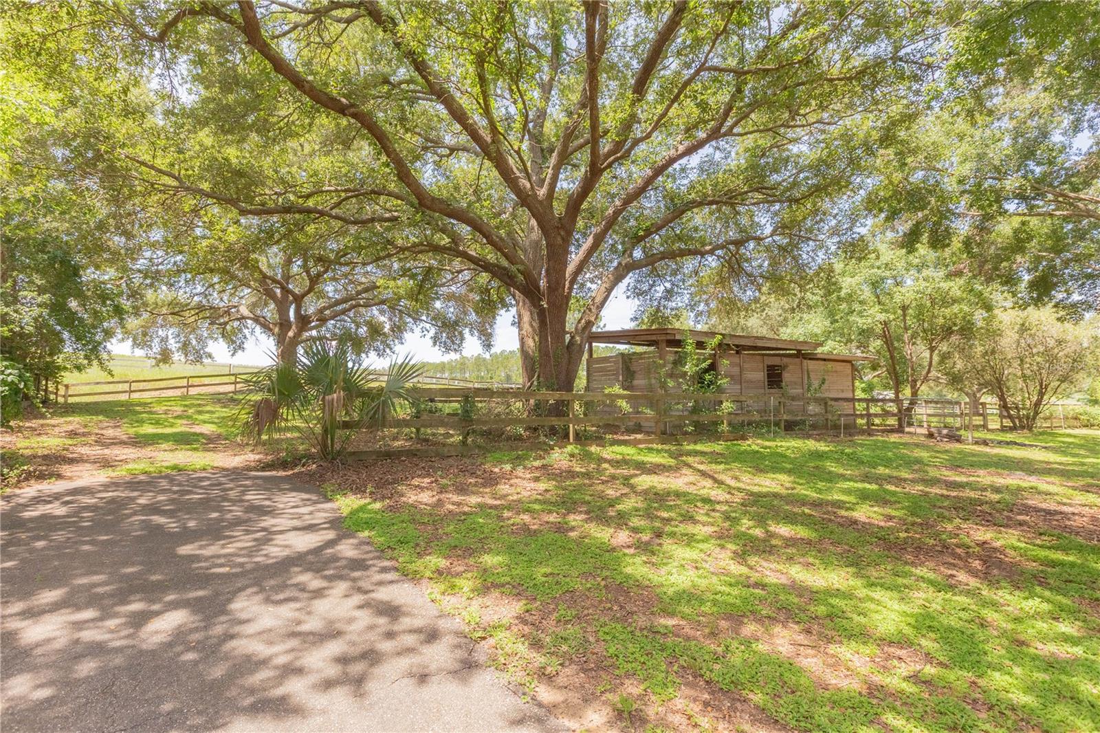 Image 38 of 51 For 14933 Thoroughbred Ln