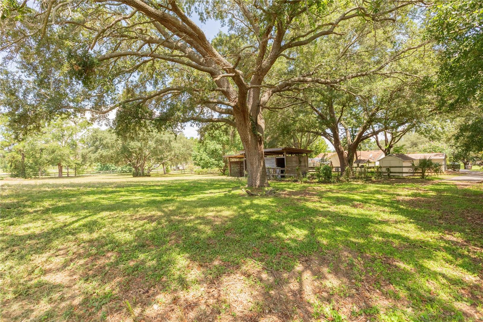 Image 39 of 51 For 14933 Thoroughbred Ln