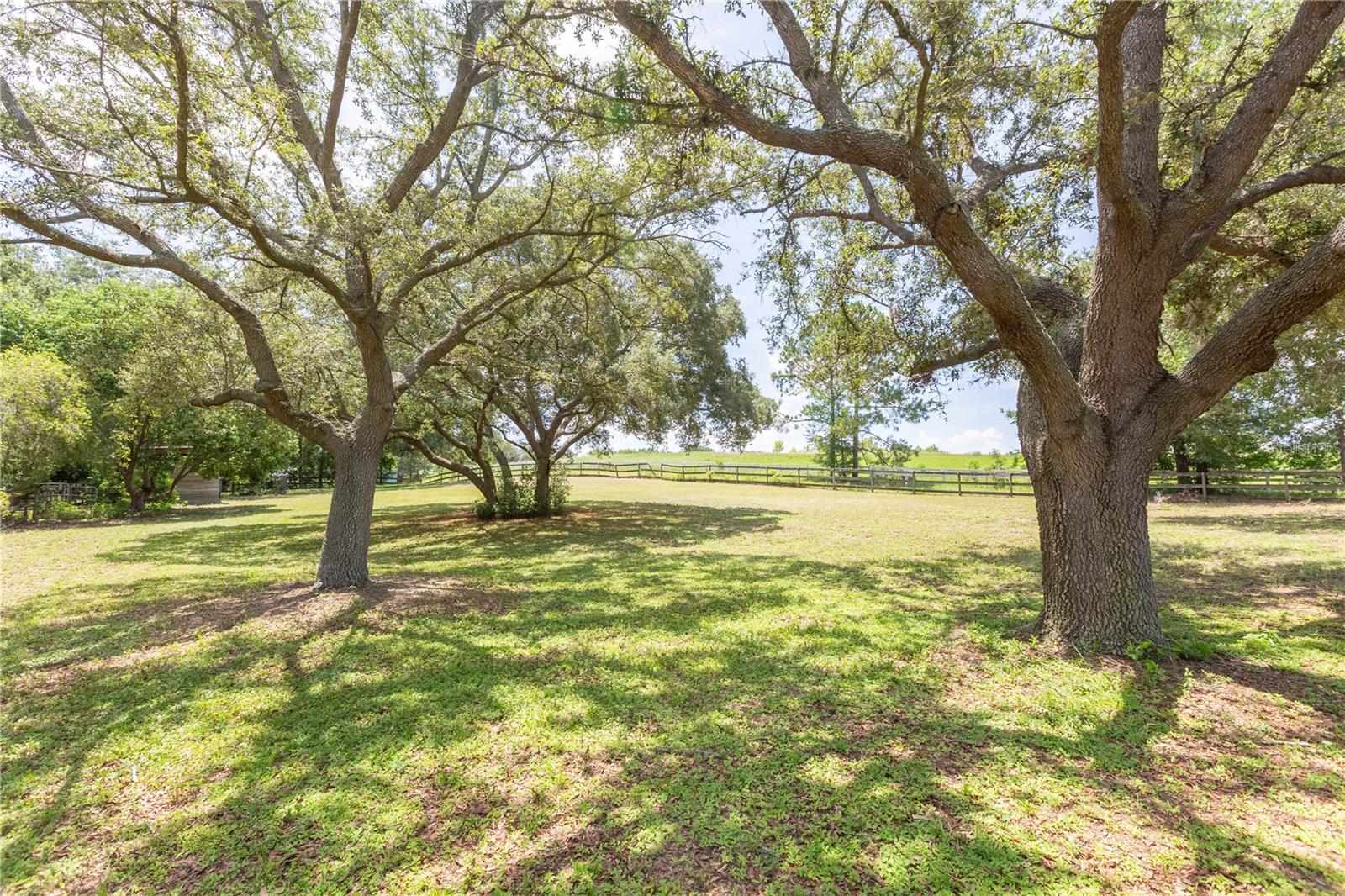 Image 42 of 51 For 14933 Thoroughbred Ln
