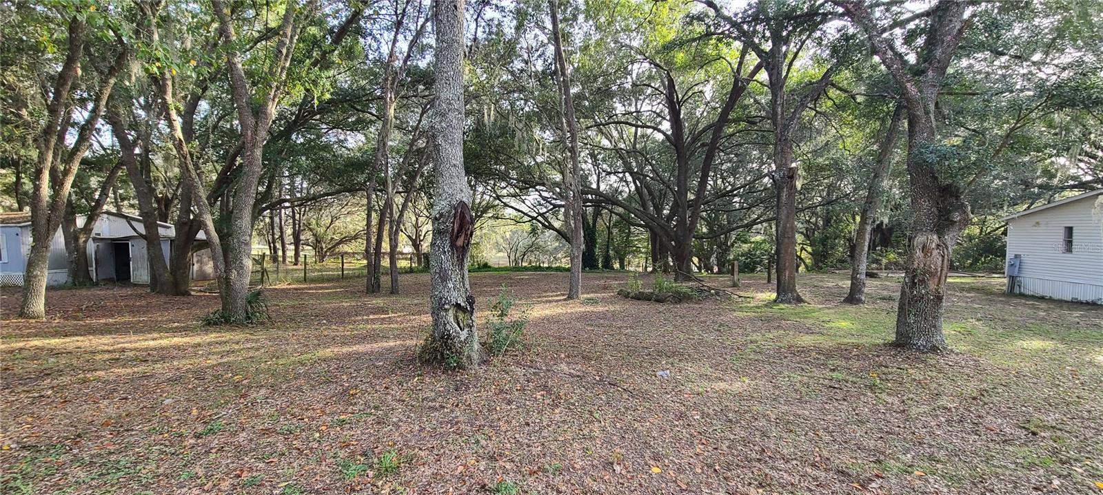 Listing Details for 25150 172nd Street, UMATILLA, FL 32784