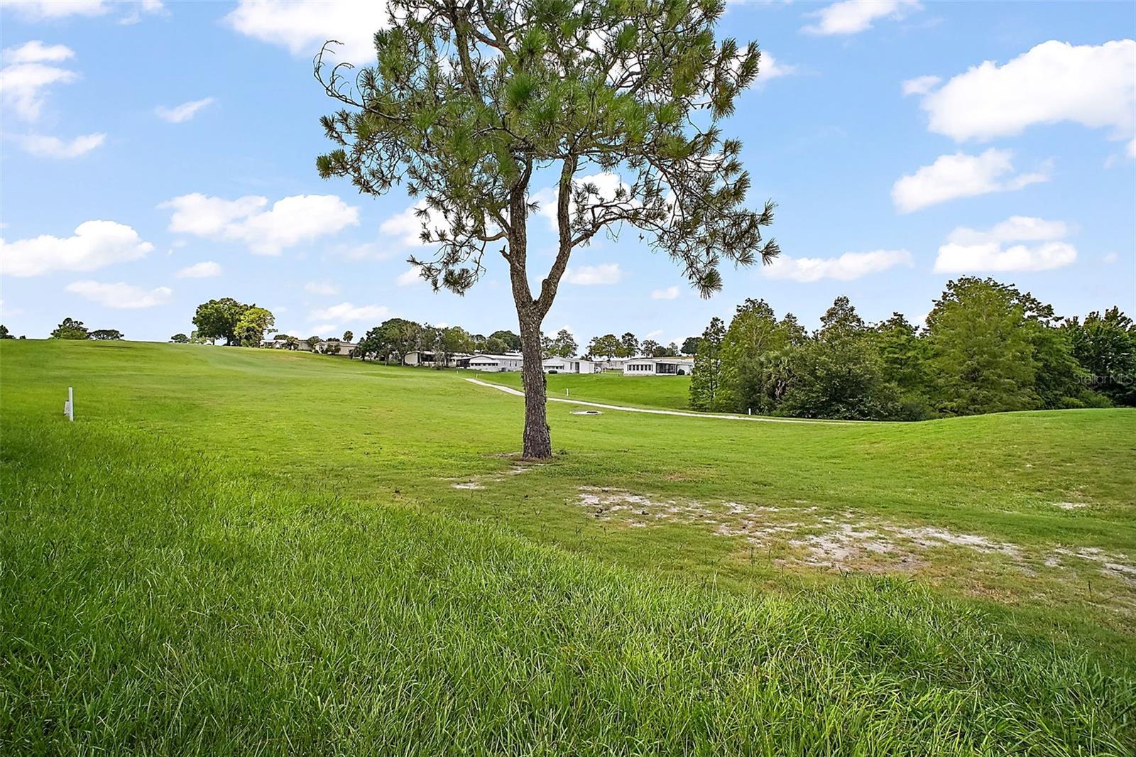 Image 24 of 28 For 2551 Cayman Circle R