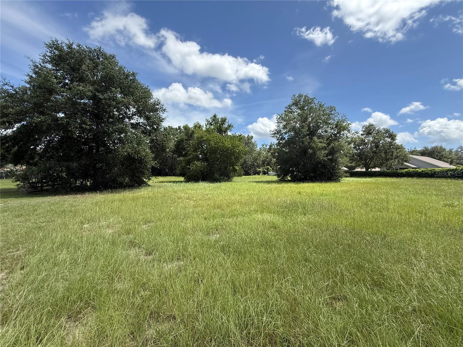 Image 2 of 3 For **tbd** Tarpon Avenue