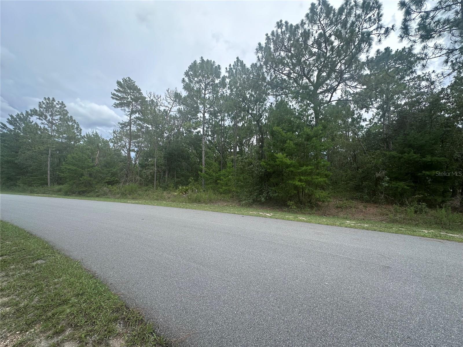 Details for 2223 Cr 243f, WILDWOOD, FL 34785