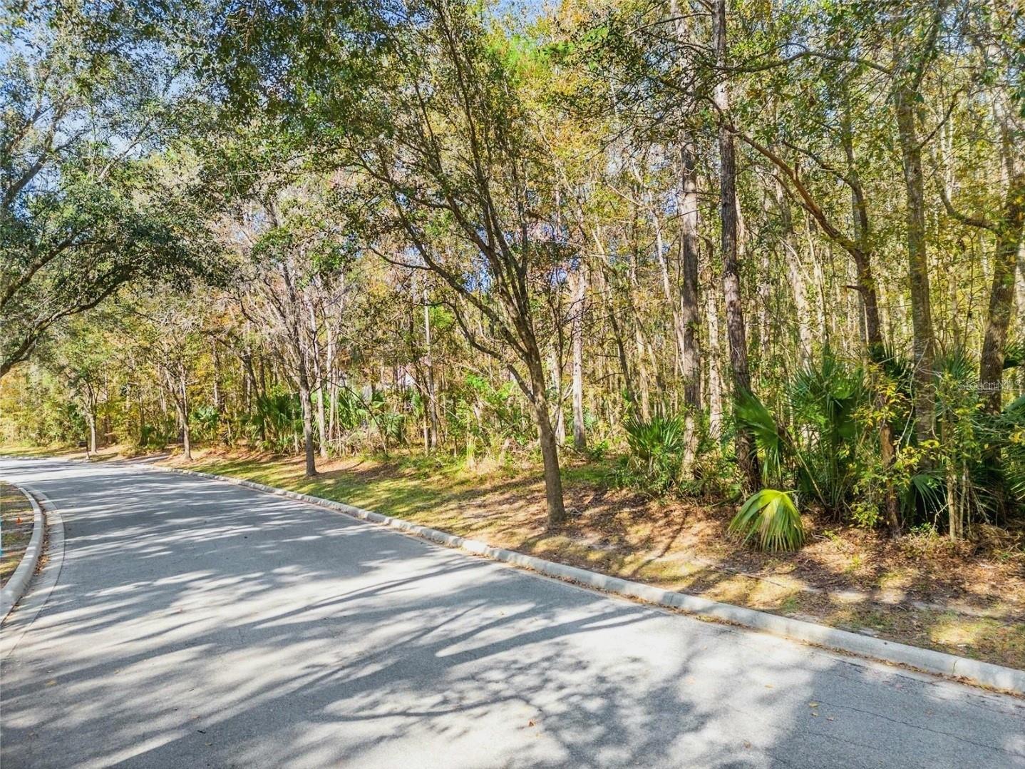 Image 8 of 13 For Tbd 37th Place Road