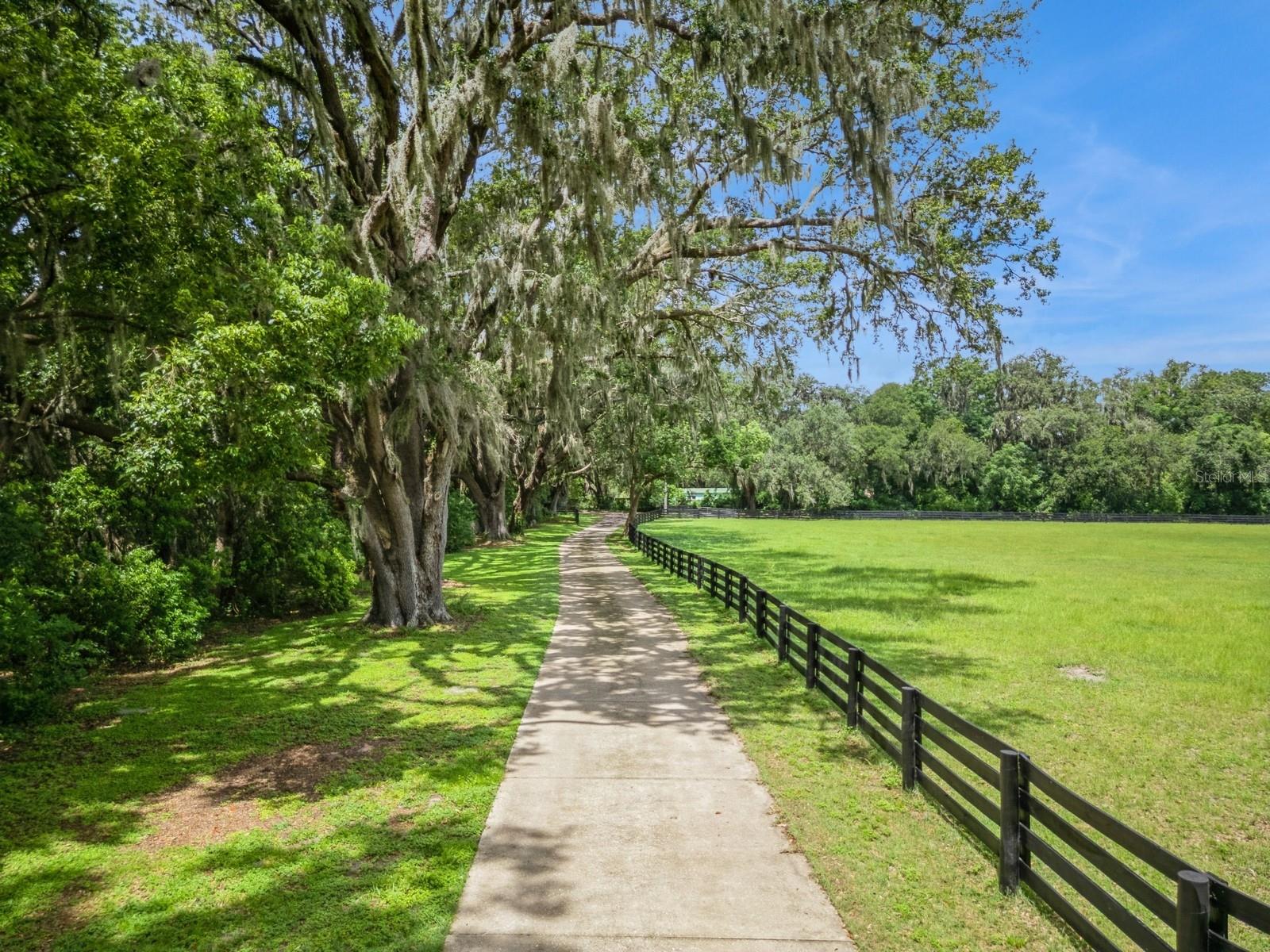 Image 78 of 82 For 35520 Timbertop Lane