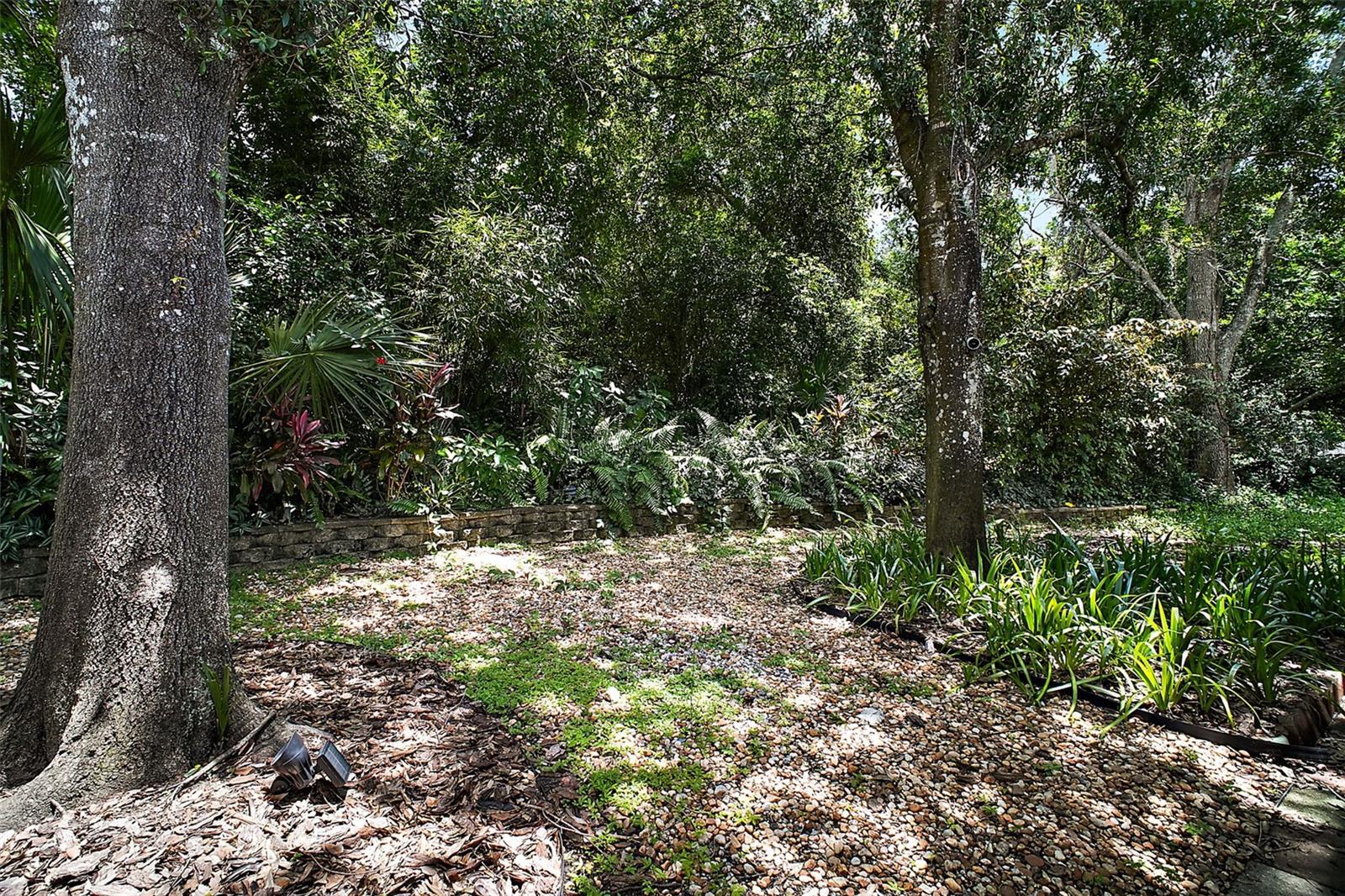 Image 31 of 36 For 2549 Country Club Road