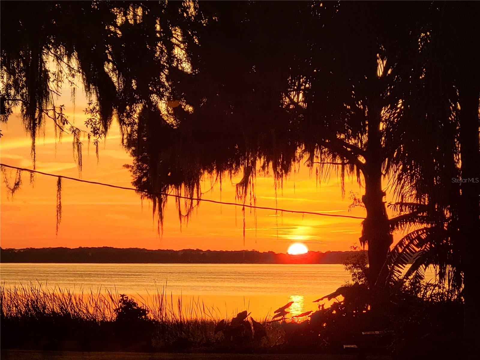 Image 55 of 57 For 32721 Lake Eustis Drive