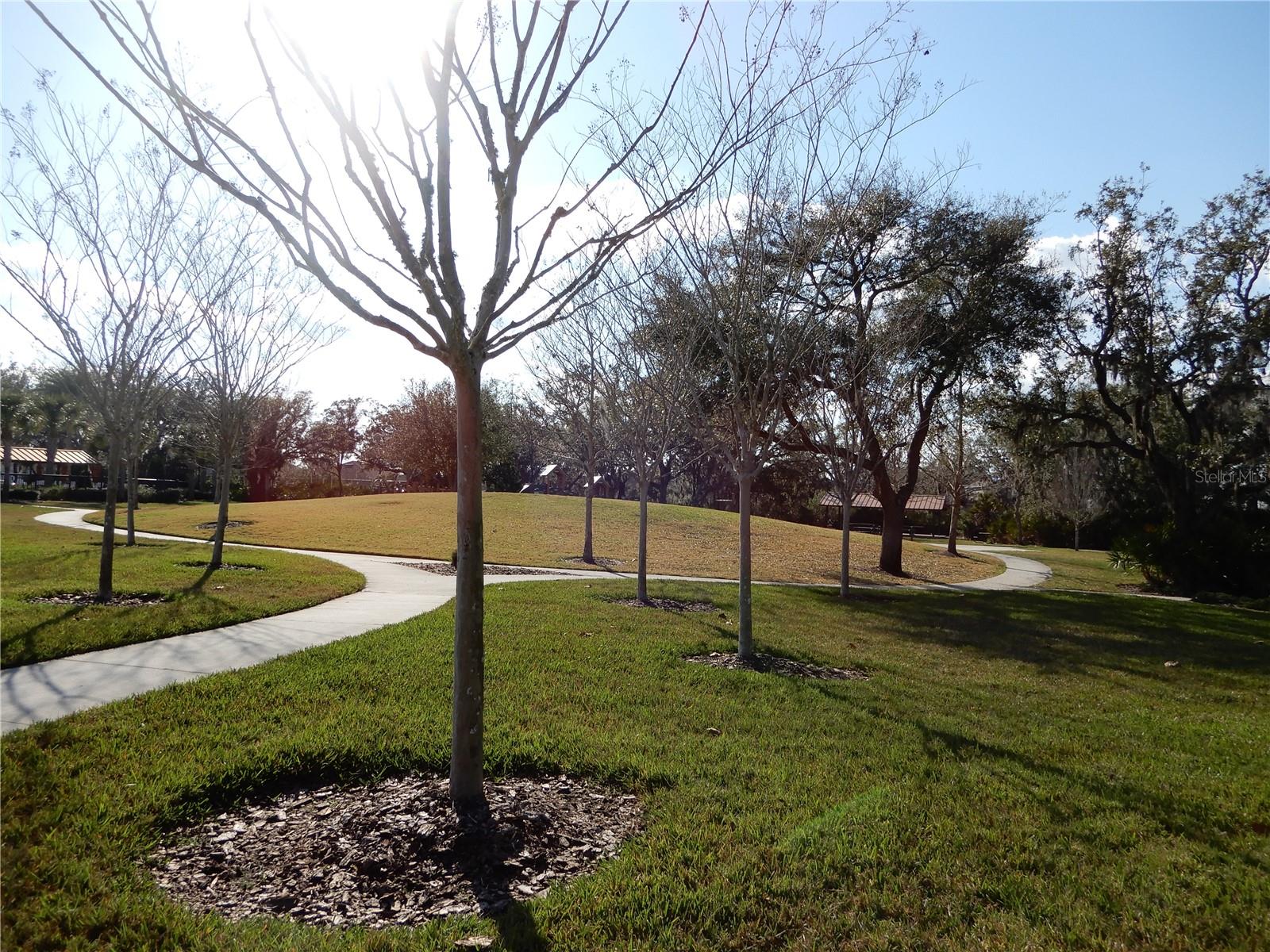 Image 26 of 33 For 1408 Diamond Loop Drive