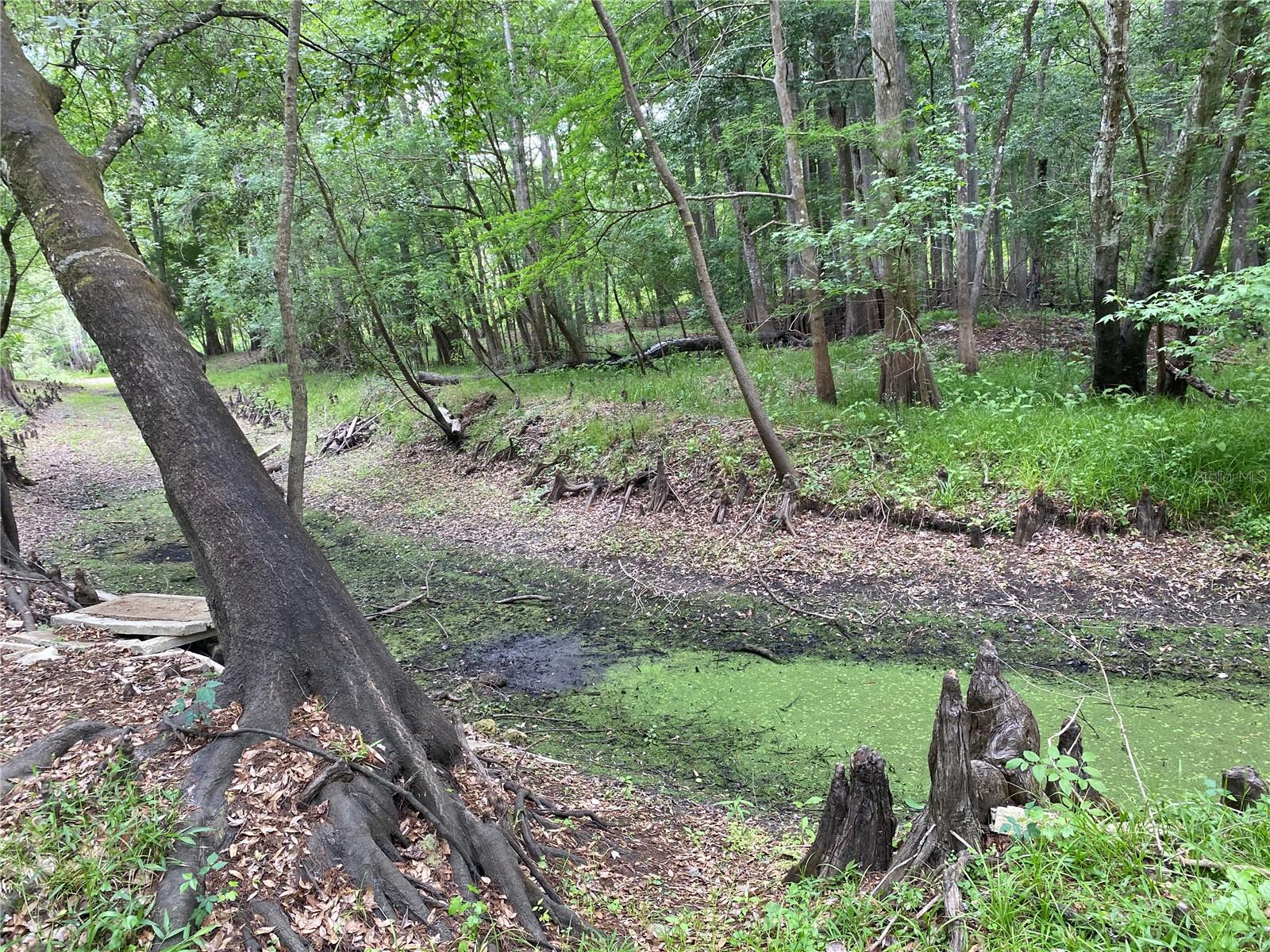 Image 6 of 10 For 8412 Cr 647  