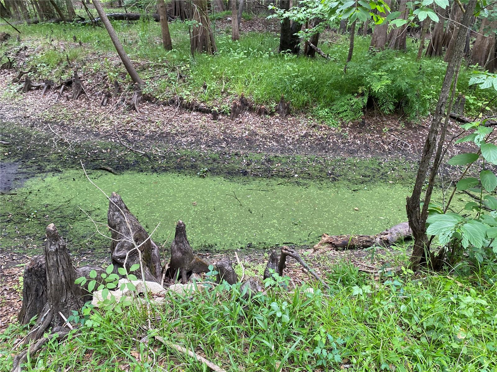 Image 7 of 10 For 8412 Cr 647  