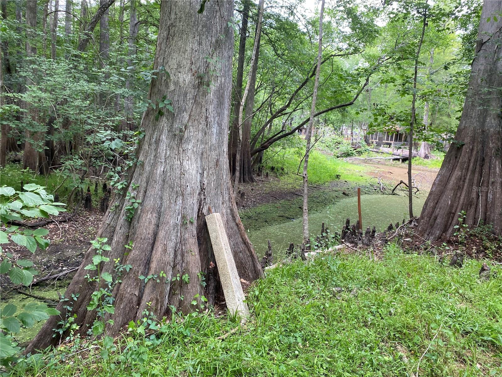 Image 8 of 10 For 8412 Cr 647  