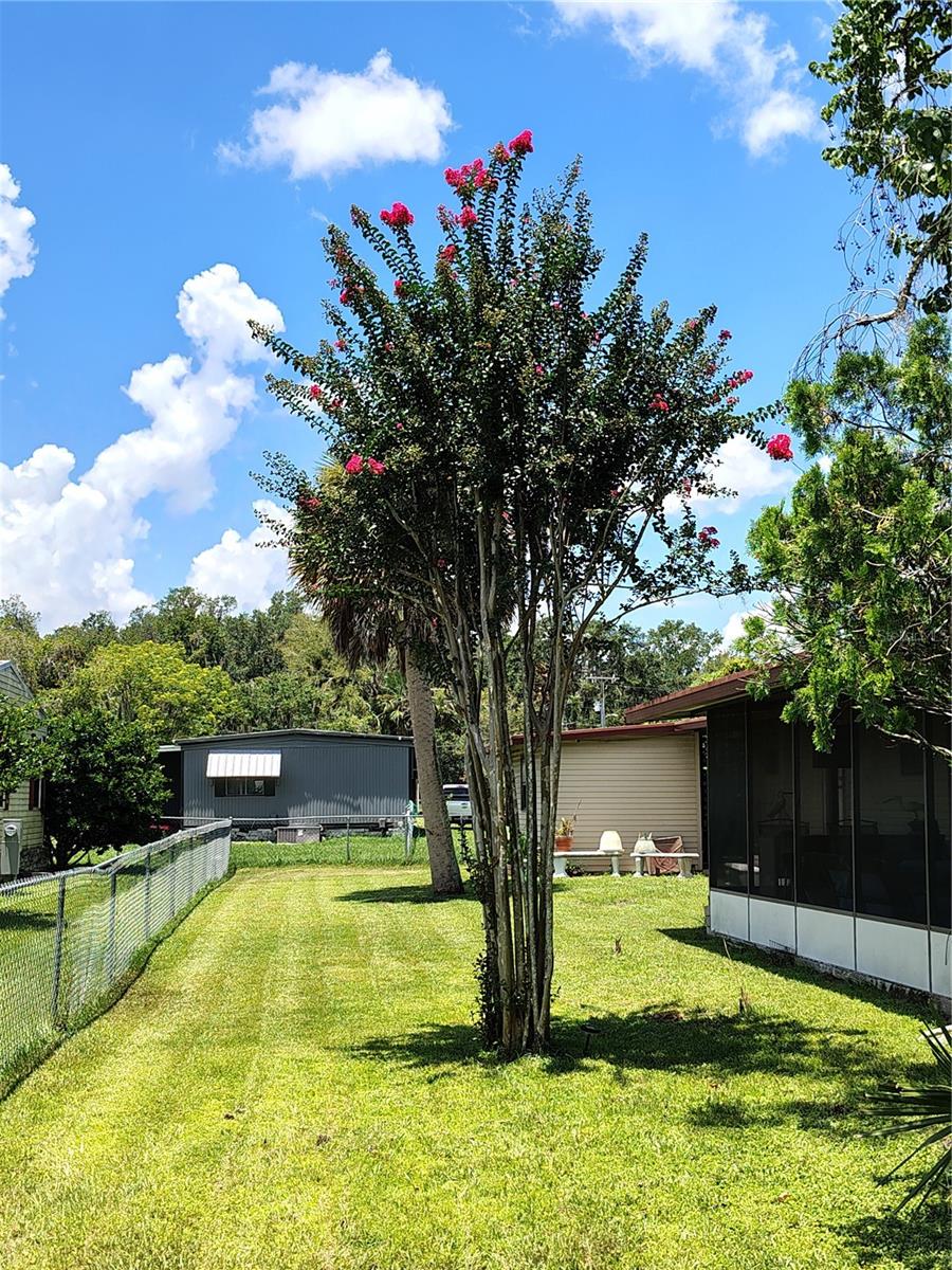 Image 5 of 57 For 46 Wilderness Drive