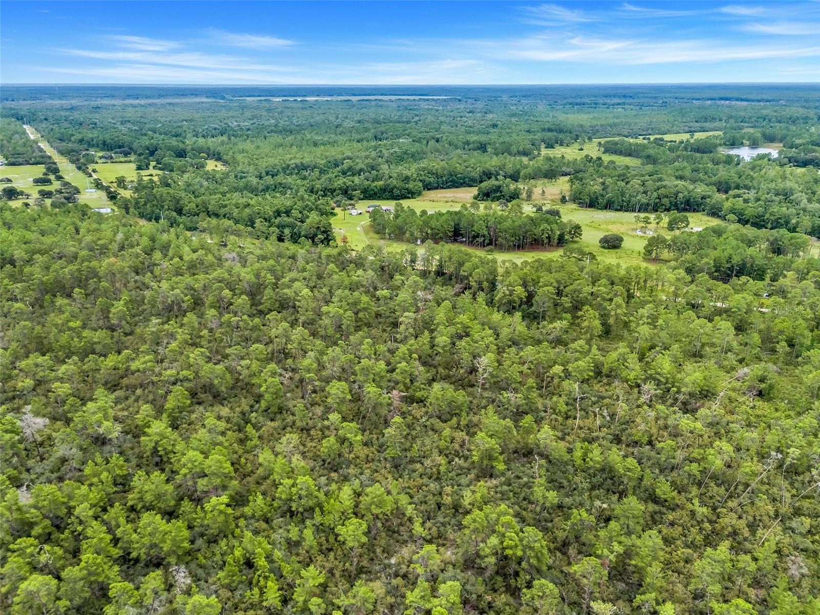Image 4 of 9 For Buck Run Drive