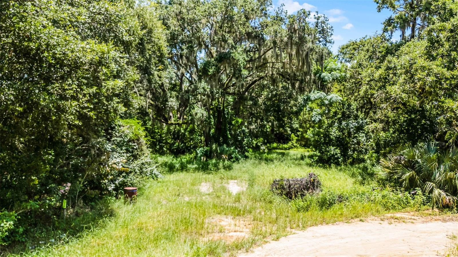 Image 11 of 25 For 15504 Lake Apopka Rd