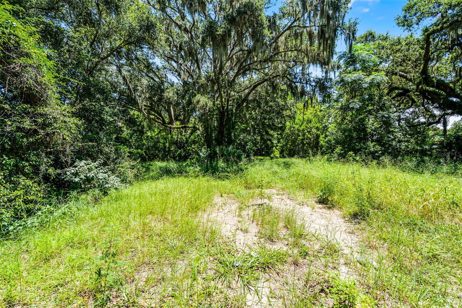 Image 4 of 25 For 15504 Lake Apopka Rd