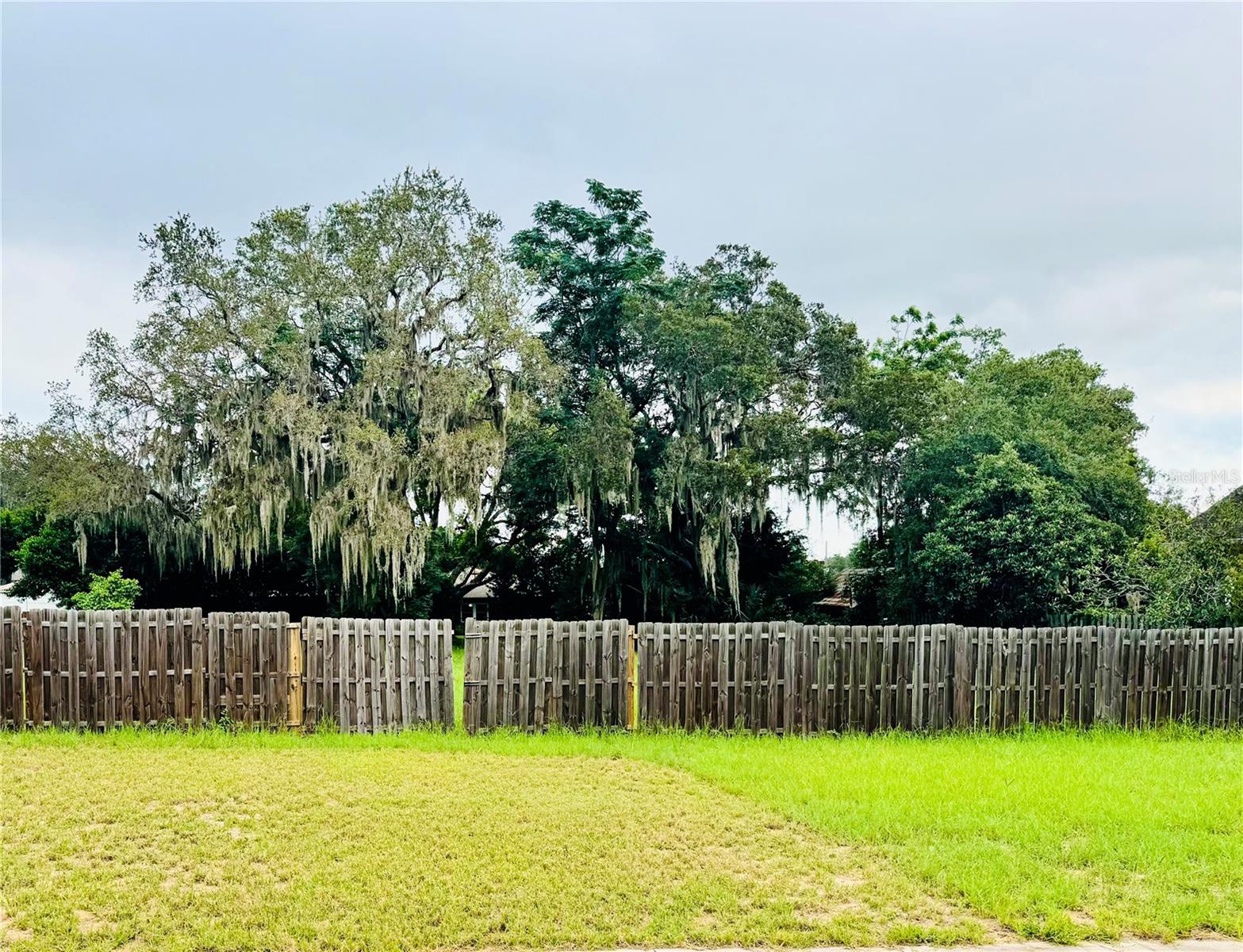 Details for Laurel Avenue, HOWEY IN THE HILLS, FL 34737