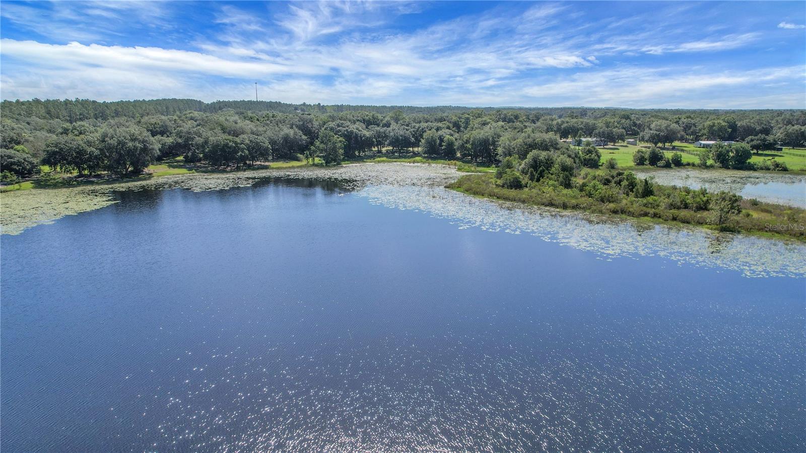 Listing photo id 4 for 16982 Highway 42