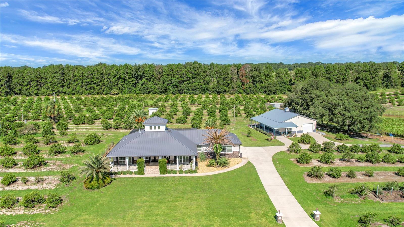 Listing photo id 69 for 16982 Highway 42