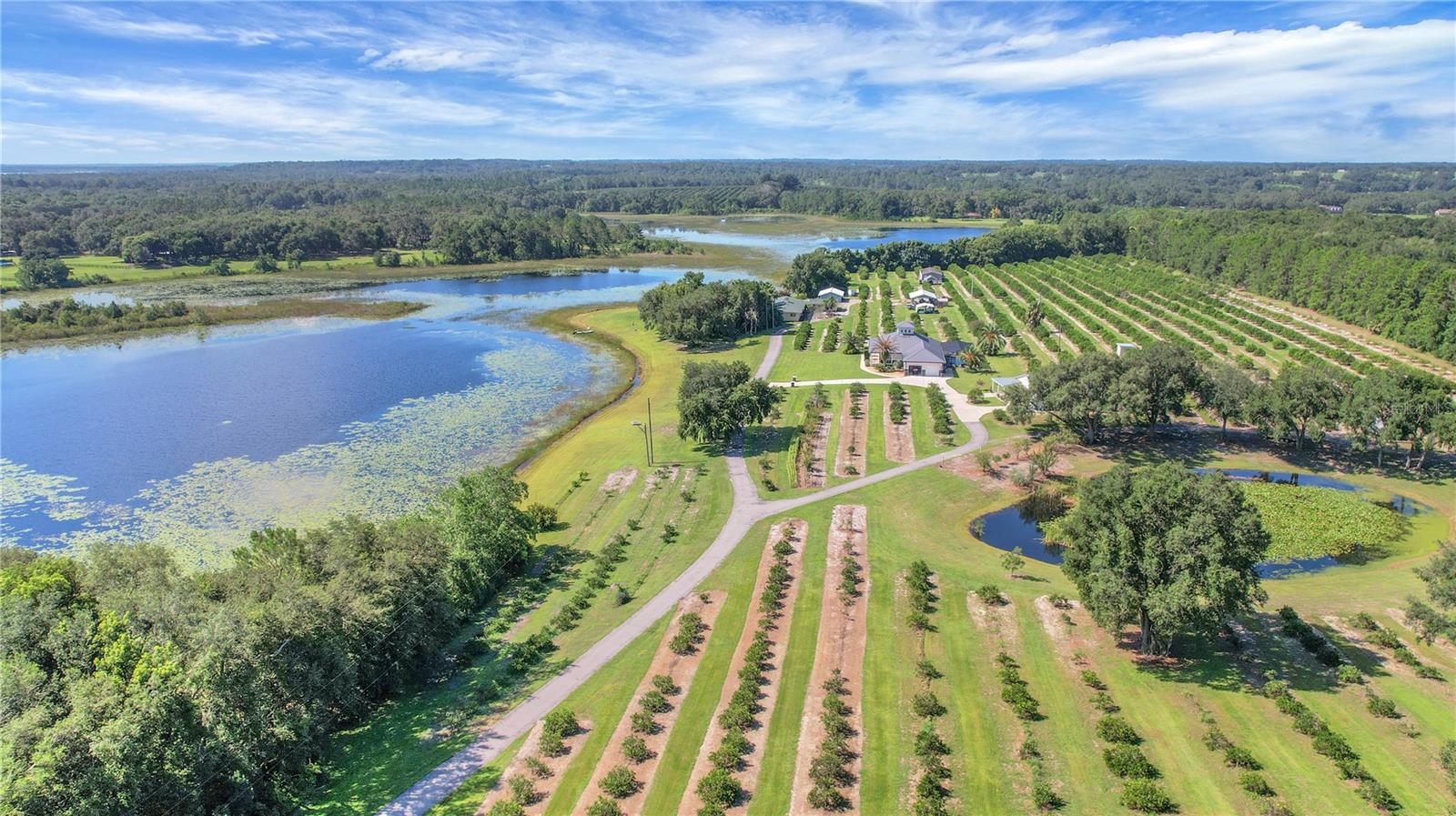 Listing photo id 71 for 16982 Highway 42